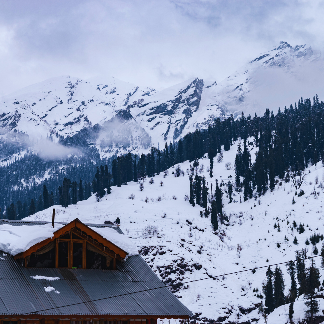 Manali Magic